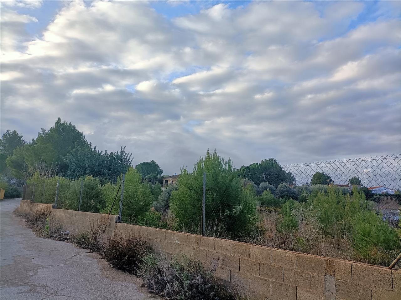 Image4