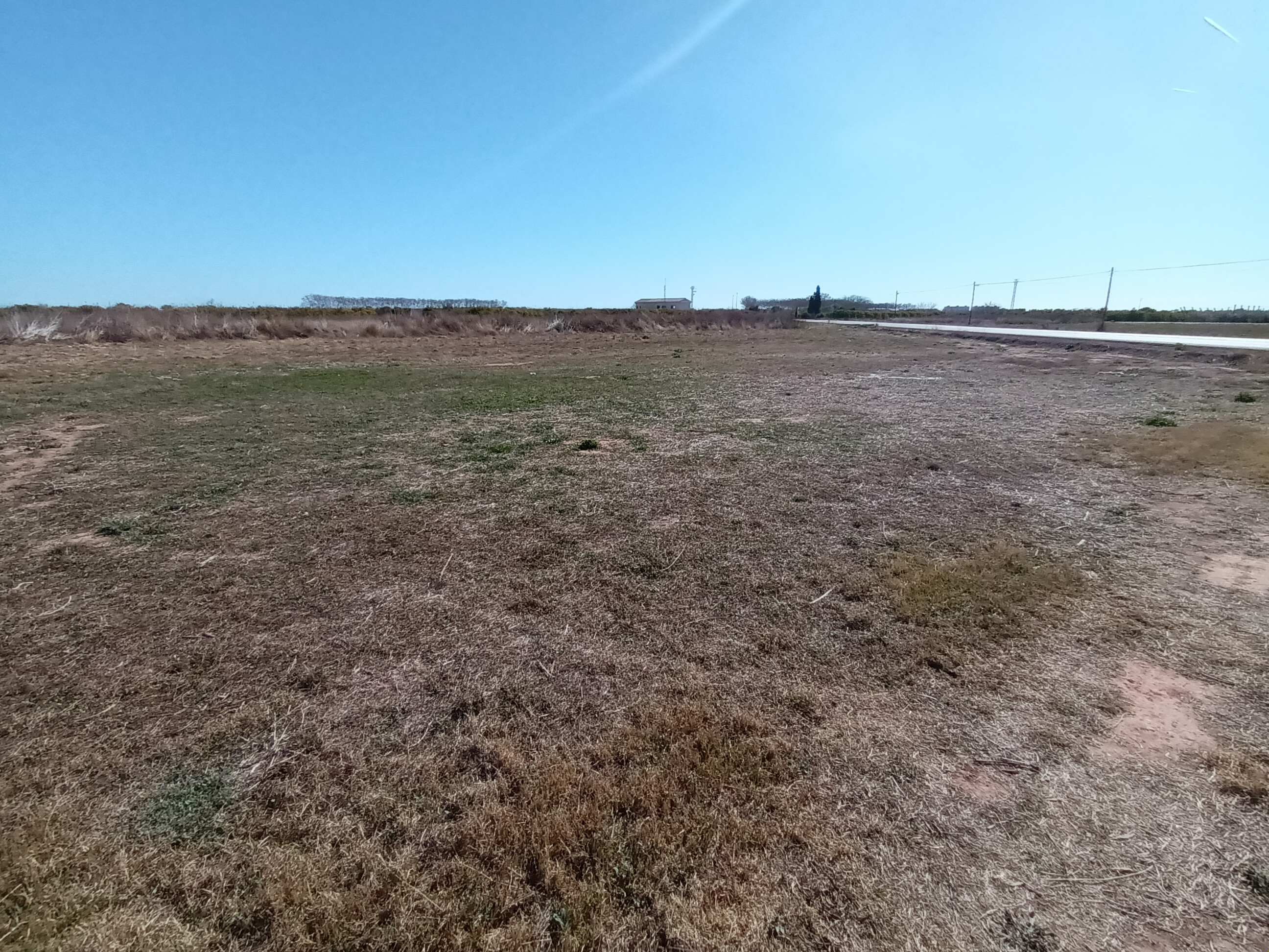 Asset image0