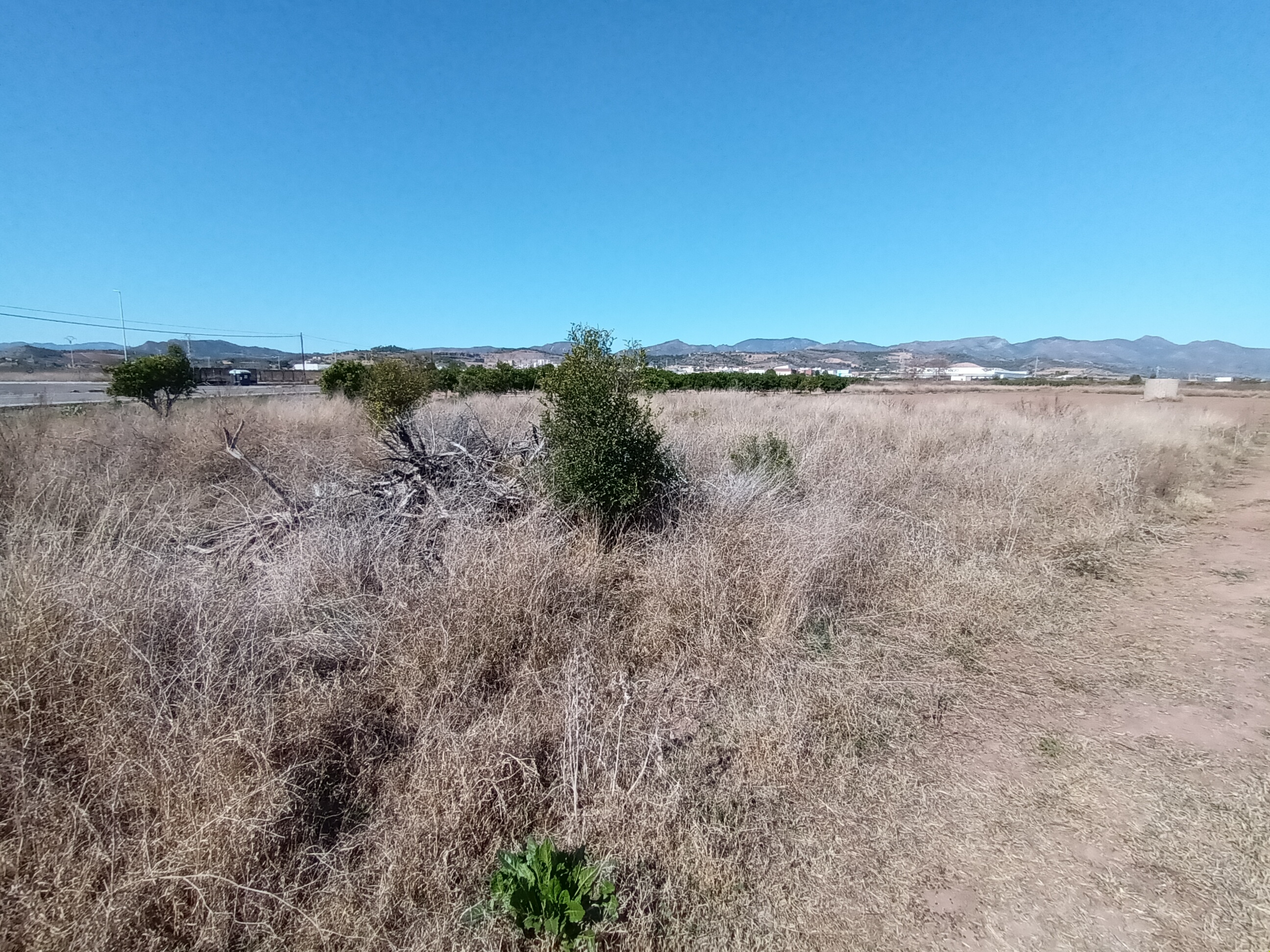 Image2