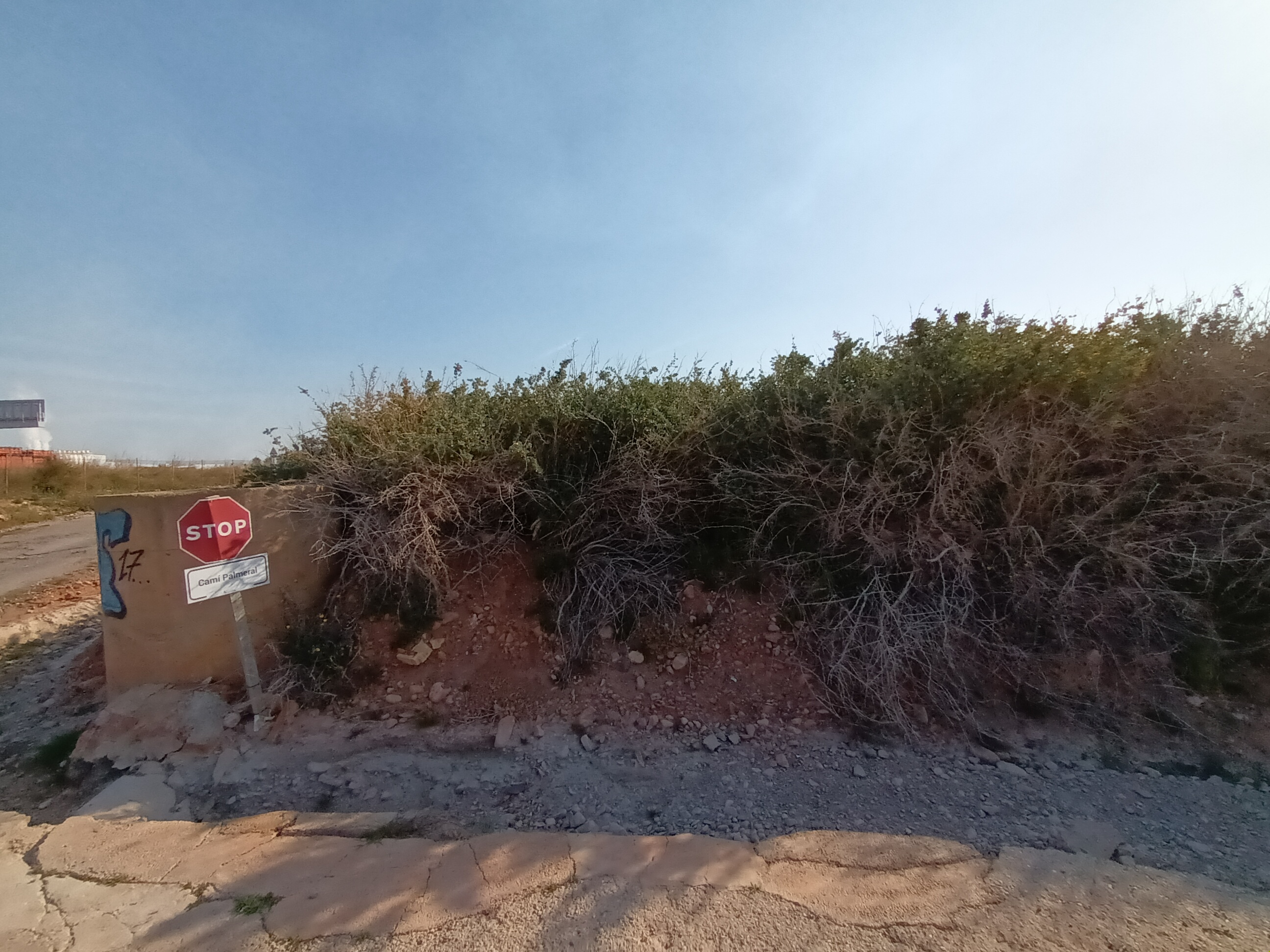 Image4