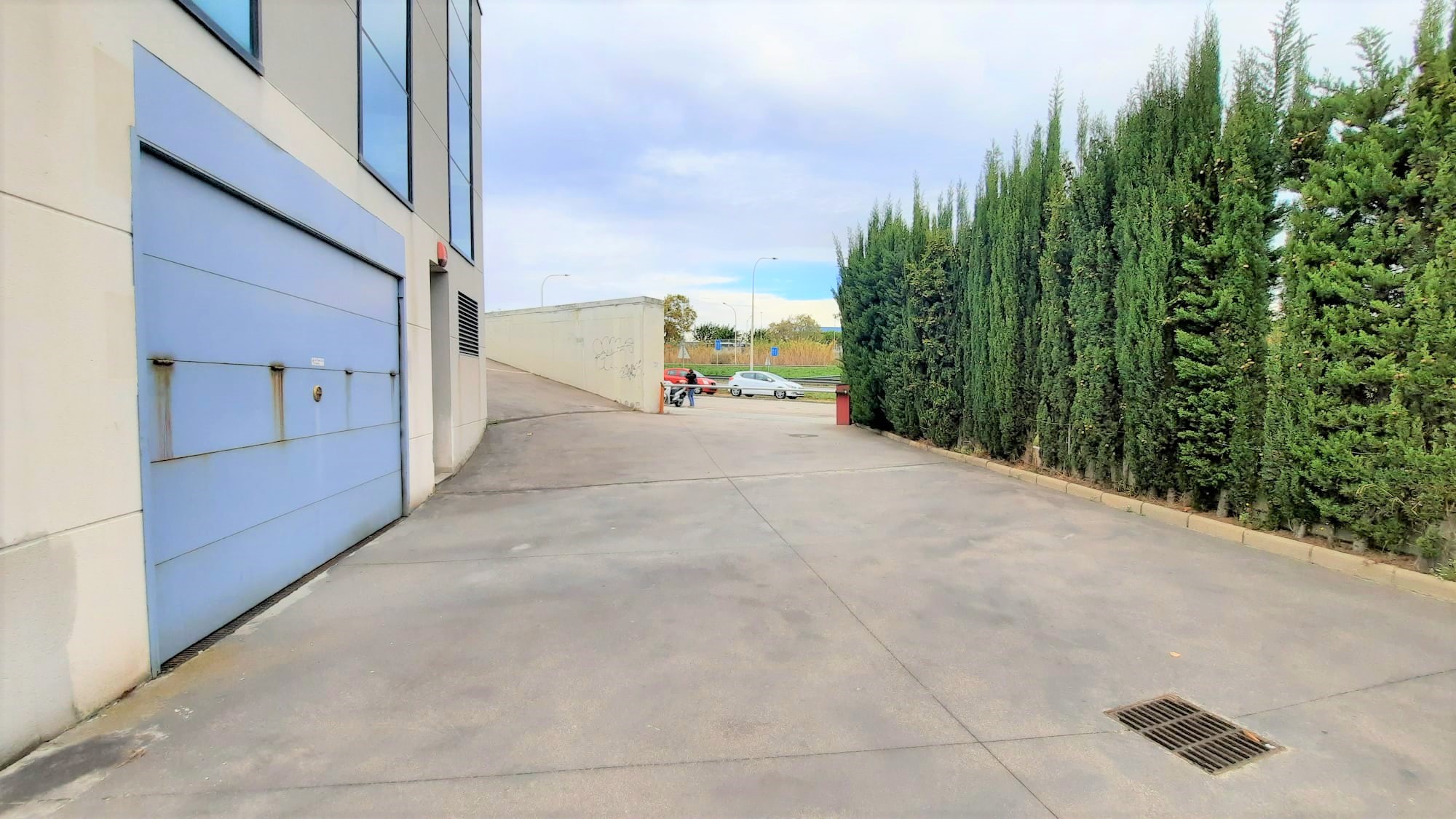 - Image 6