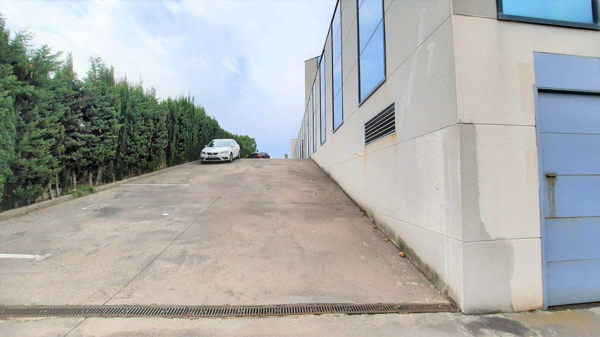 - Image 7