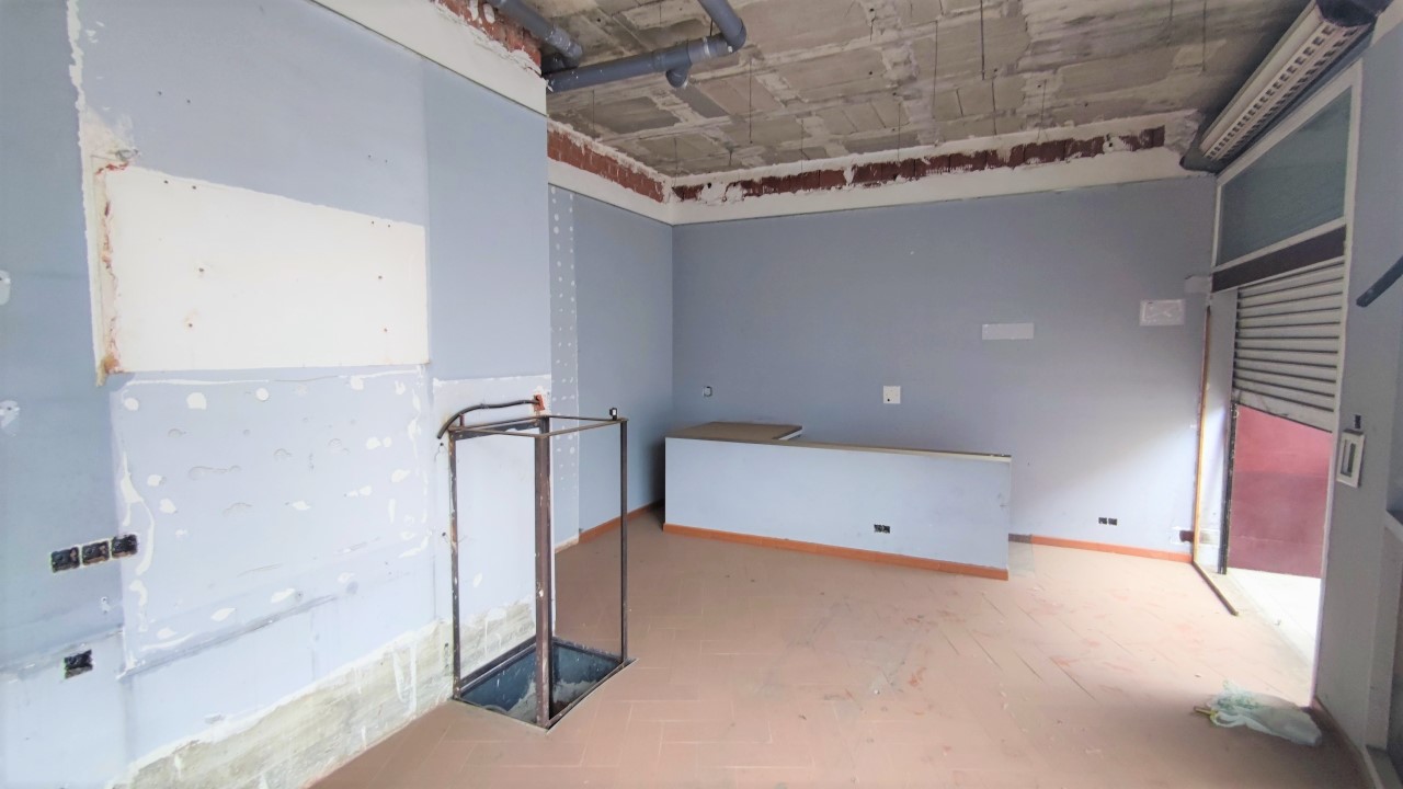 - Image 4