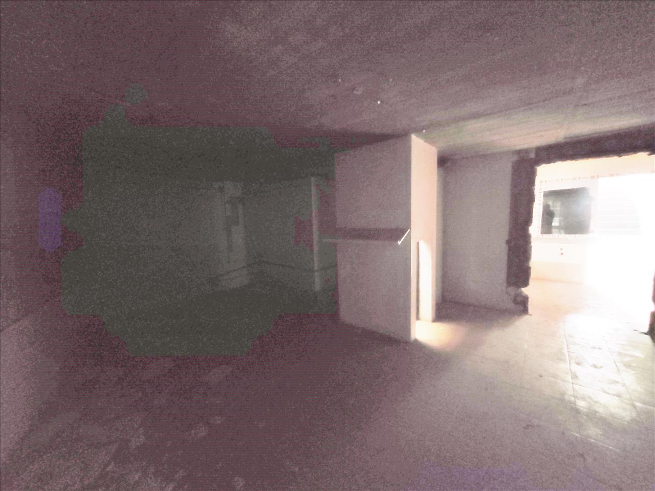 - Image 12