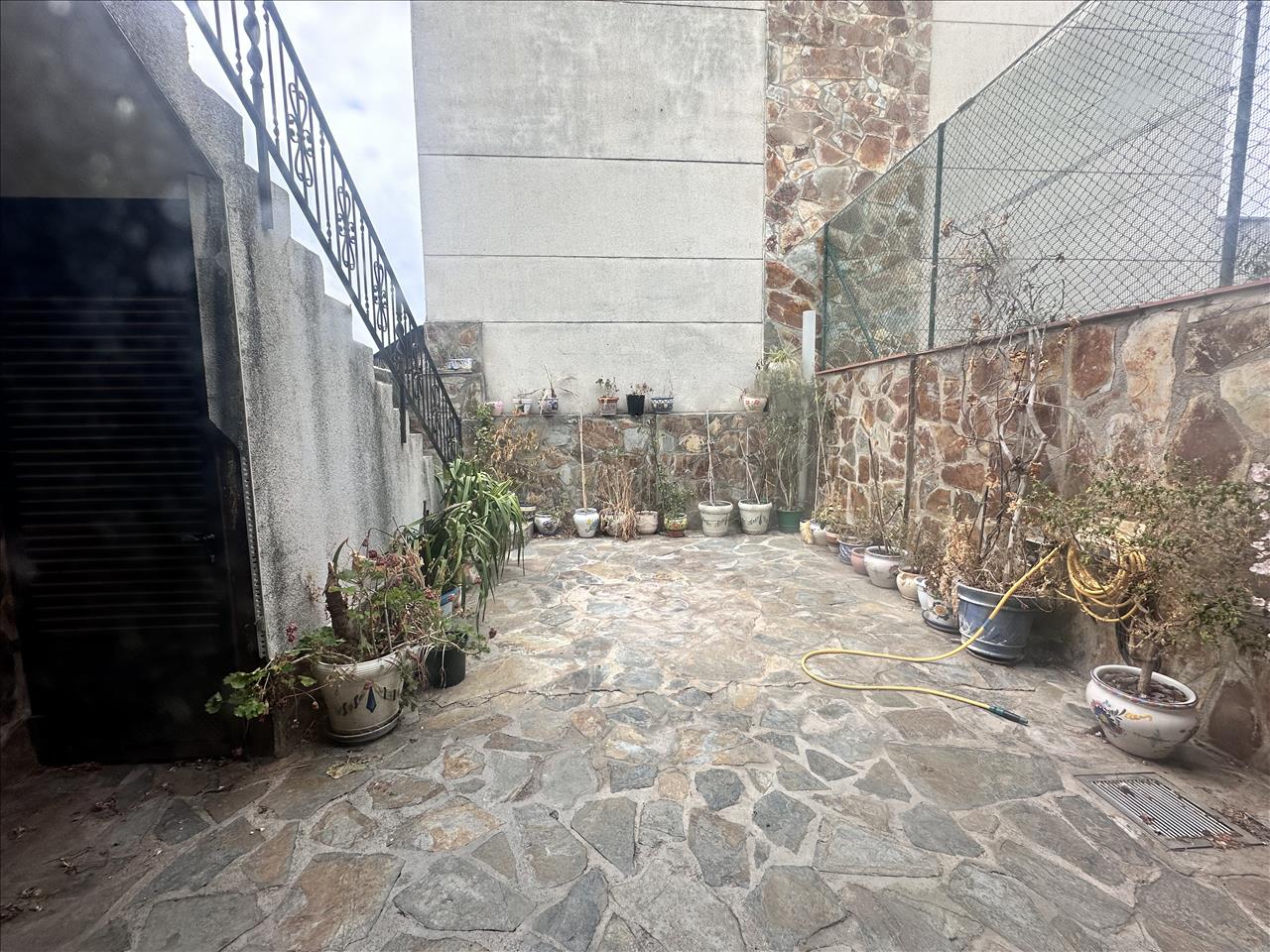 - Image 19