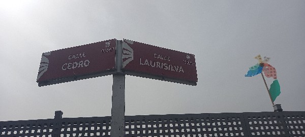 El Sauzal, Tenerife