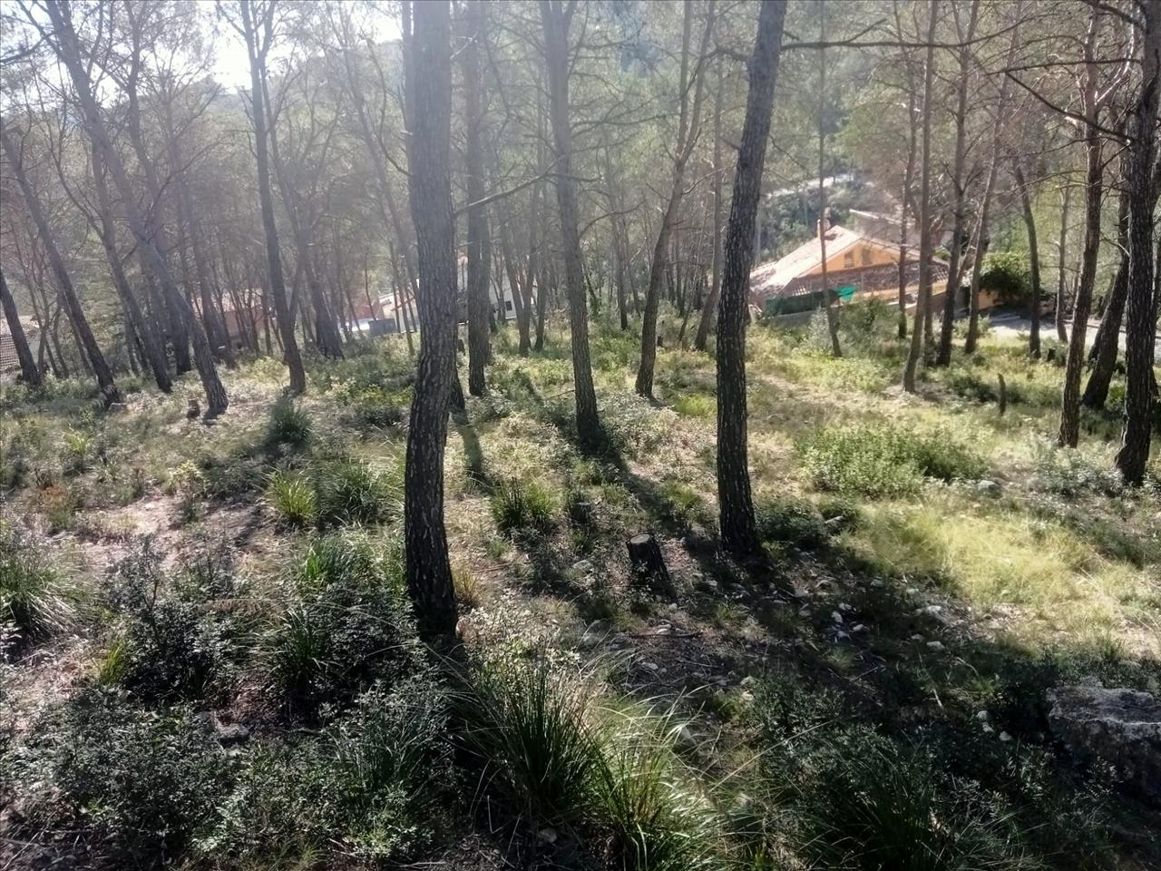 Suelo urbano residencial en Albada De L'
