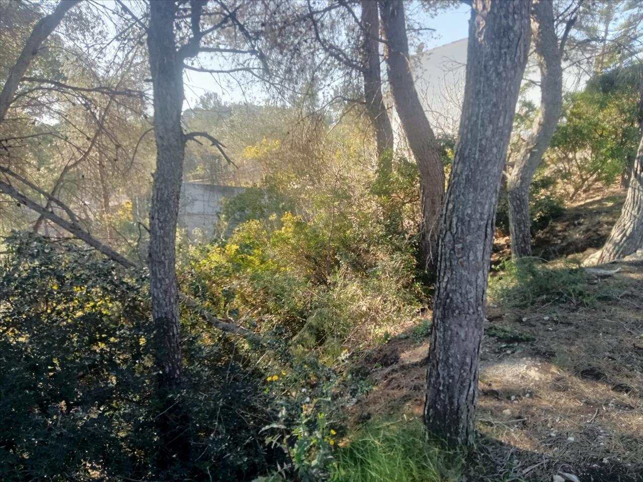 Suelo urbano residencial en Mercuri De