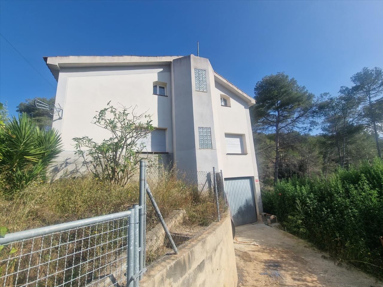 Image3