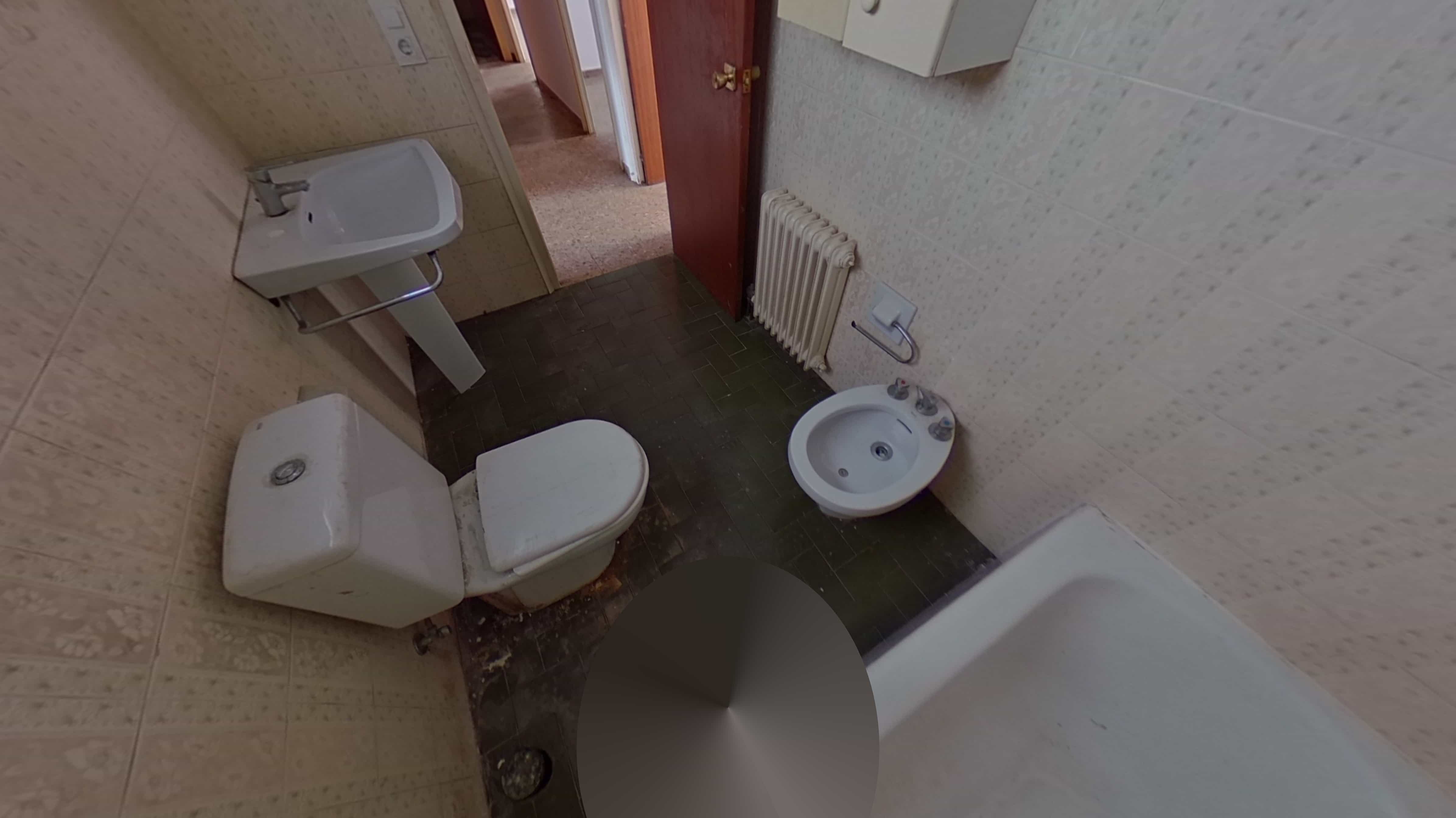 - Image 19