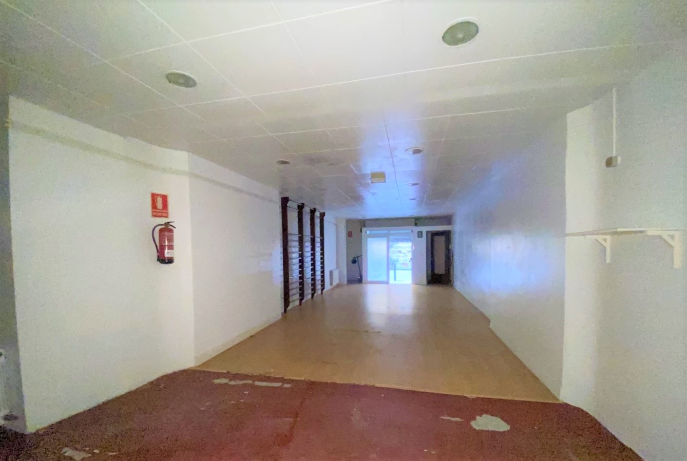 - Image 11