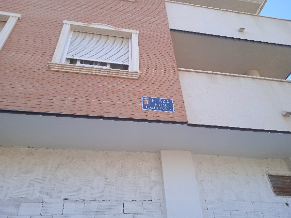 Piso en Avenida Pintor Pedro Cano