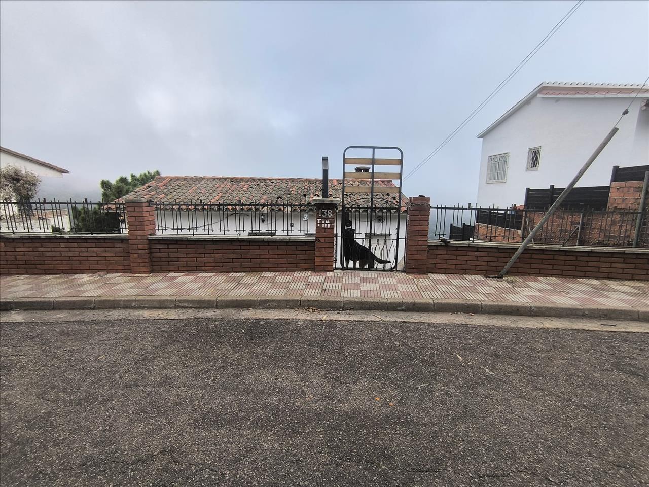 Asset image0