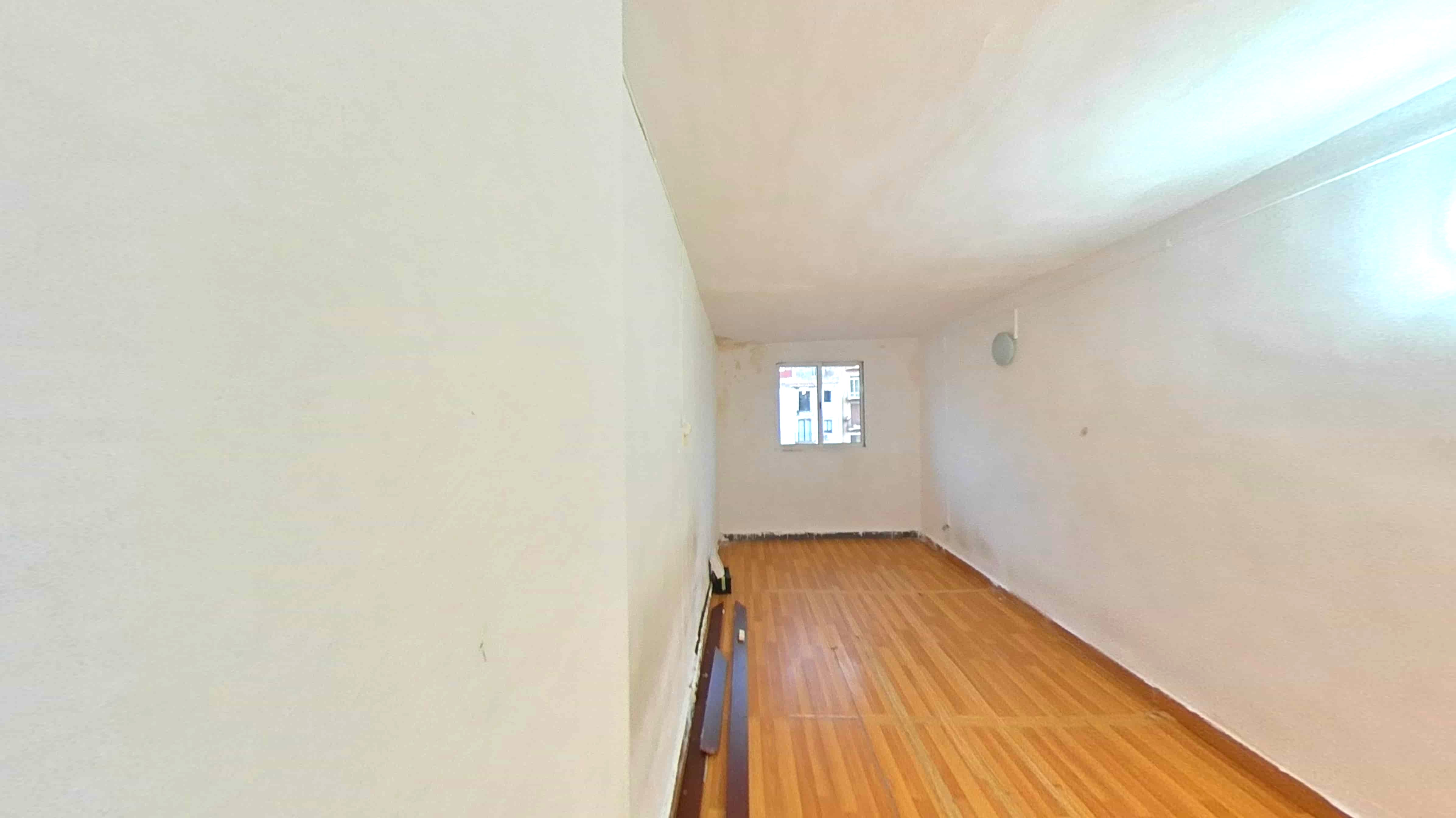 Image3