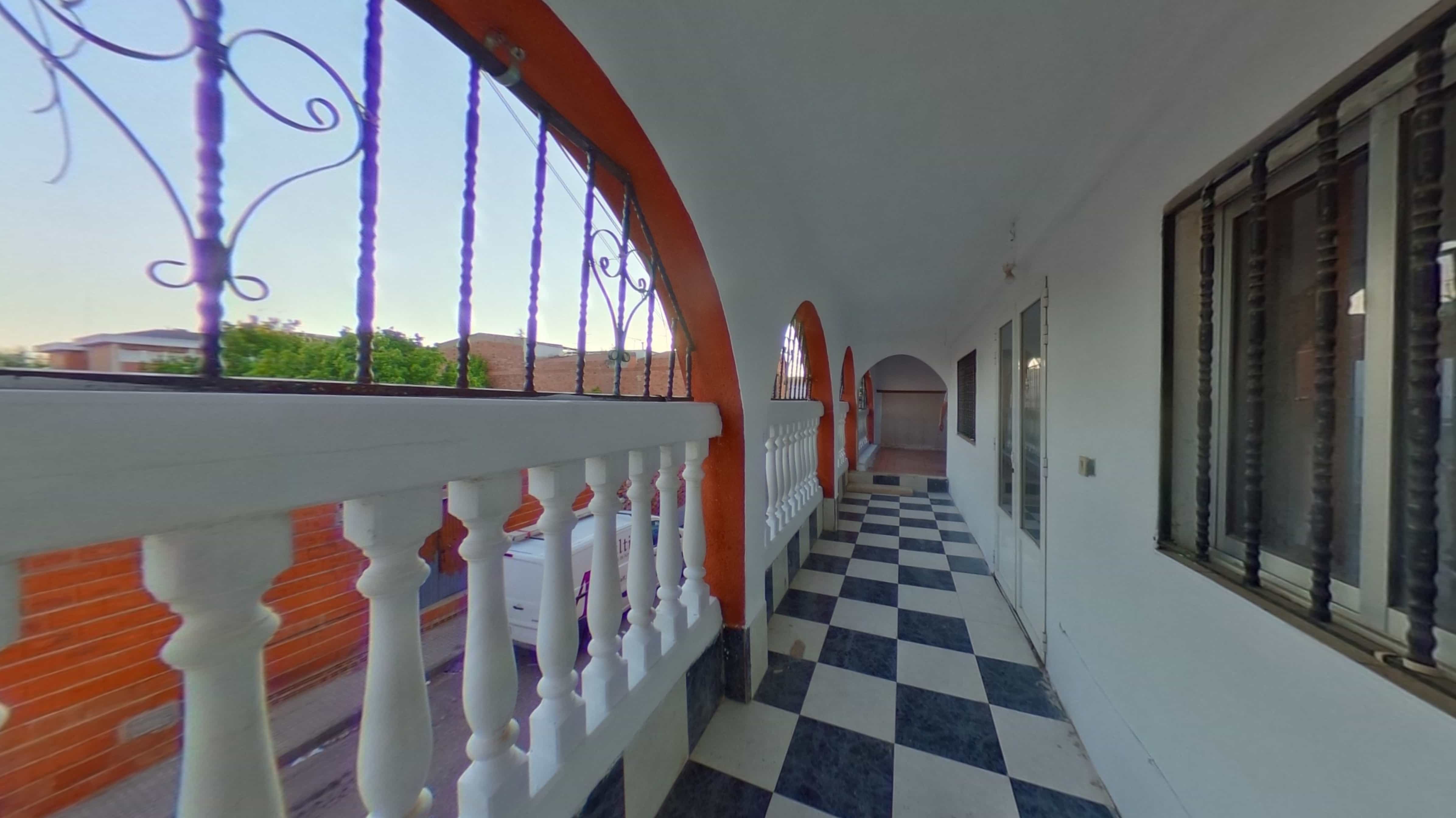 - Image 19