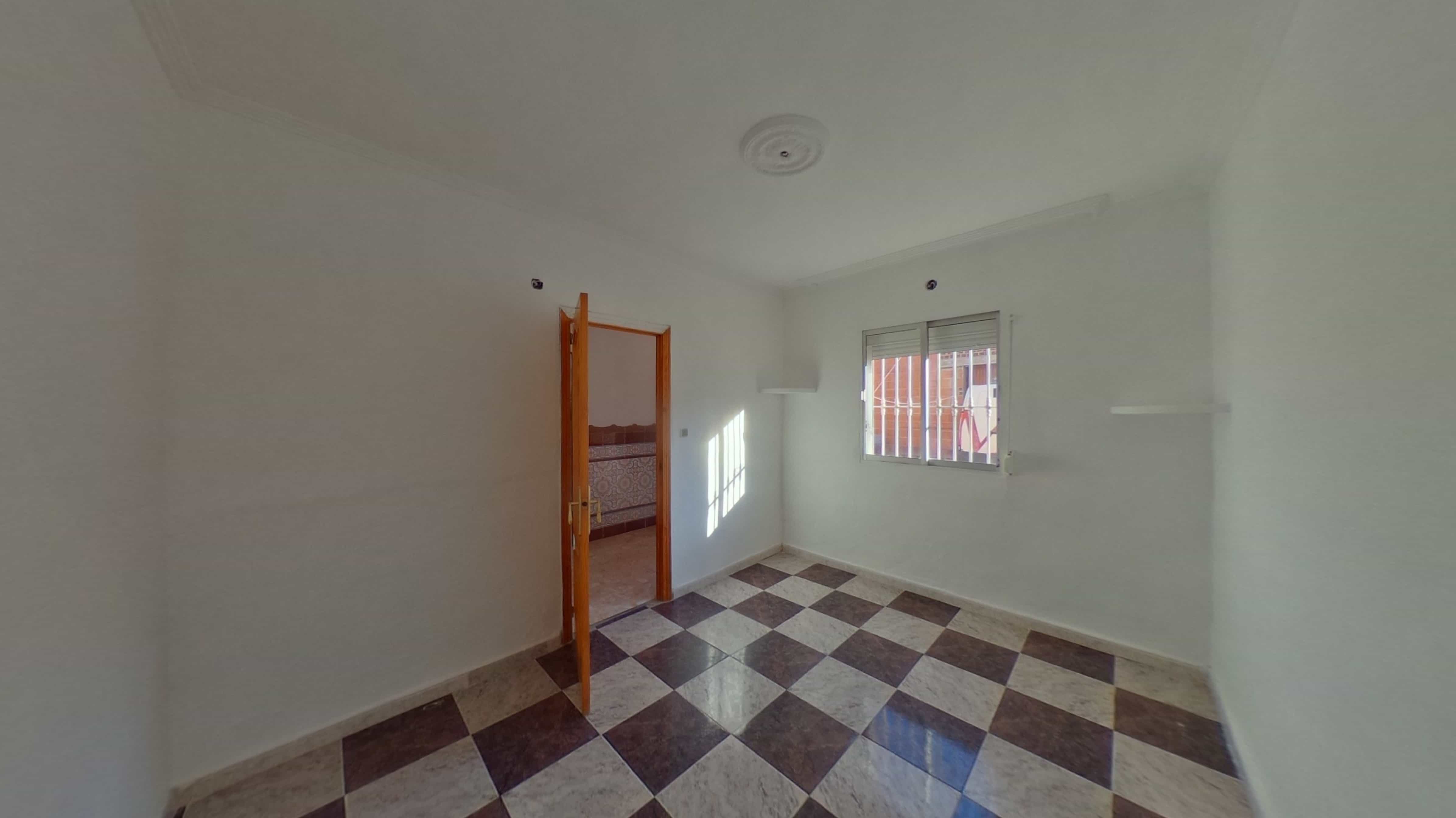 - Image 12