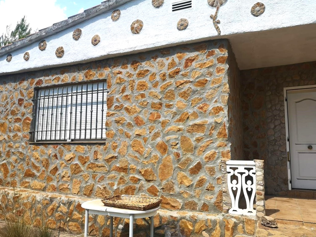 Image2