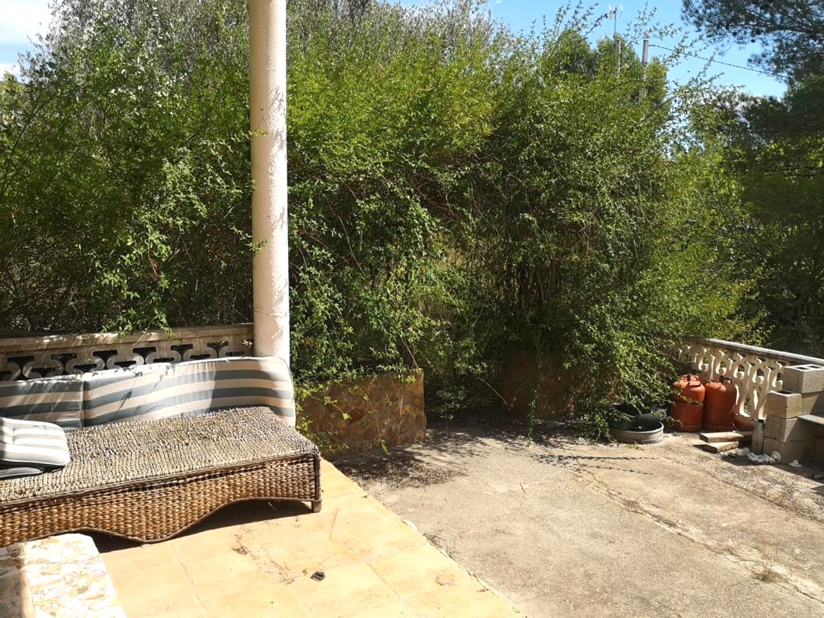 Image4