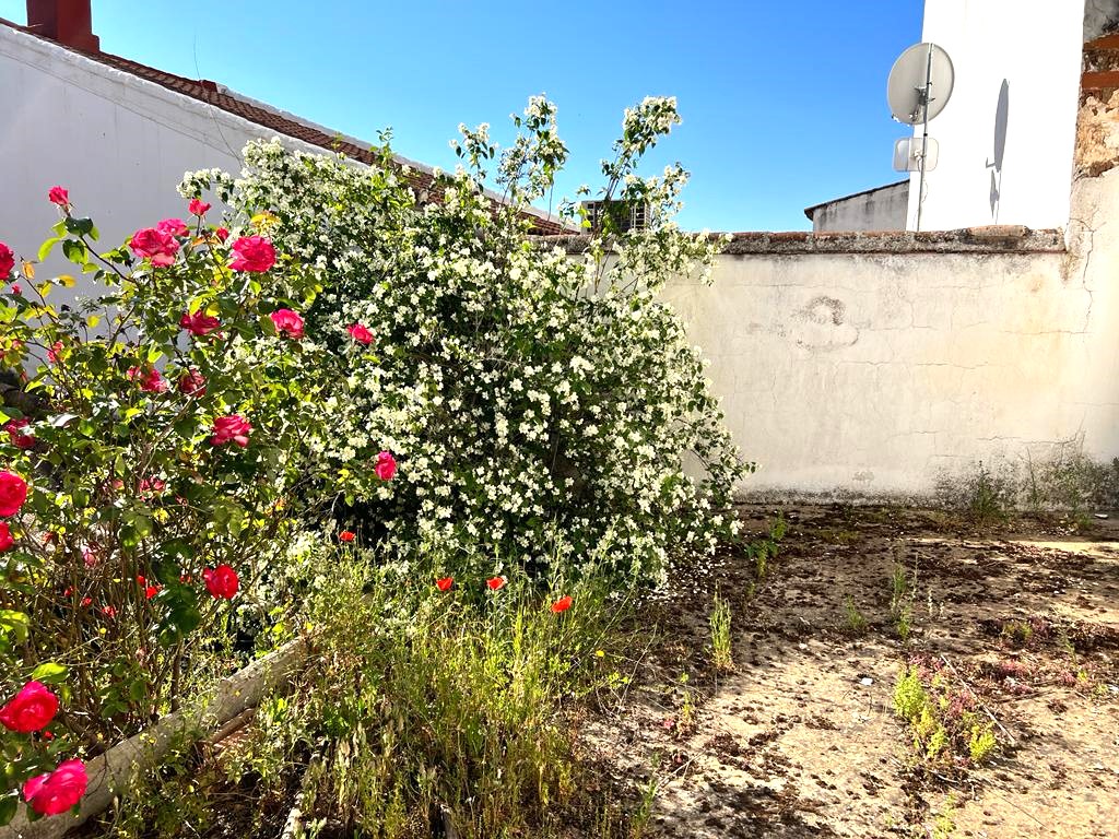 image01
