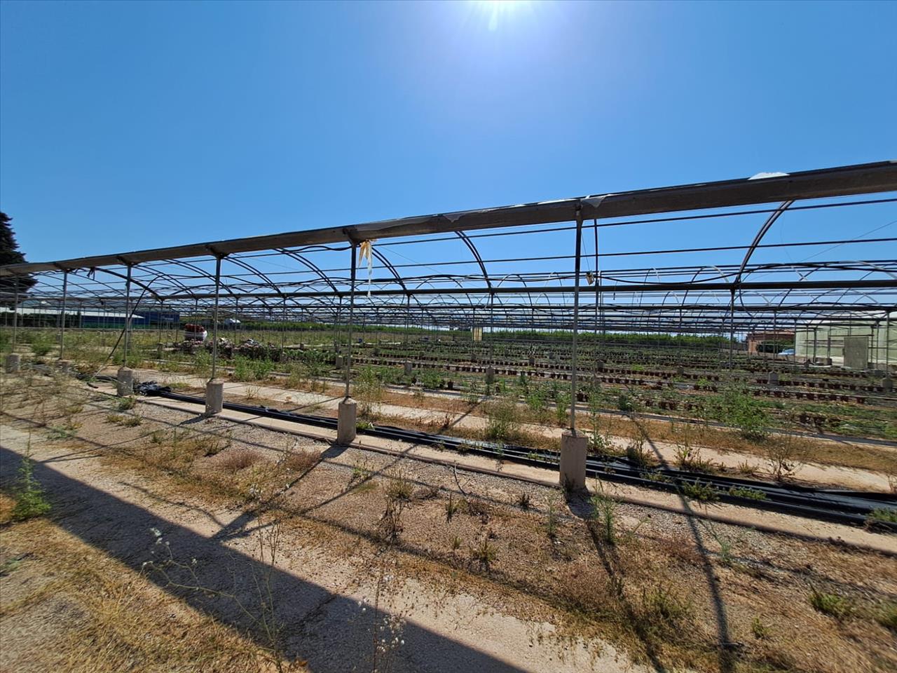 Aconchegante T3 em Catadau, València - Oportunidade Única! - Image 11