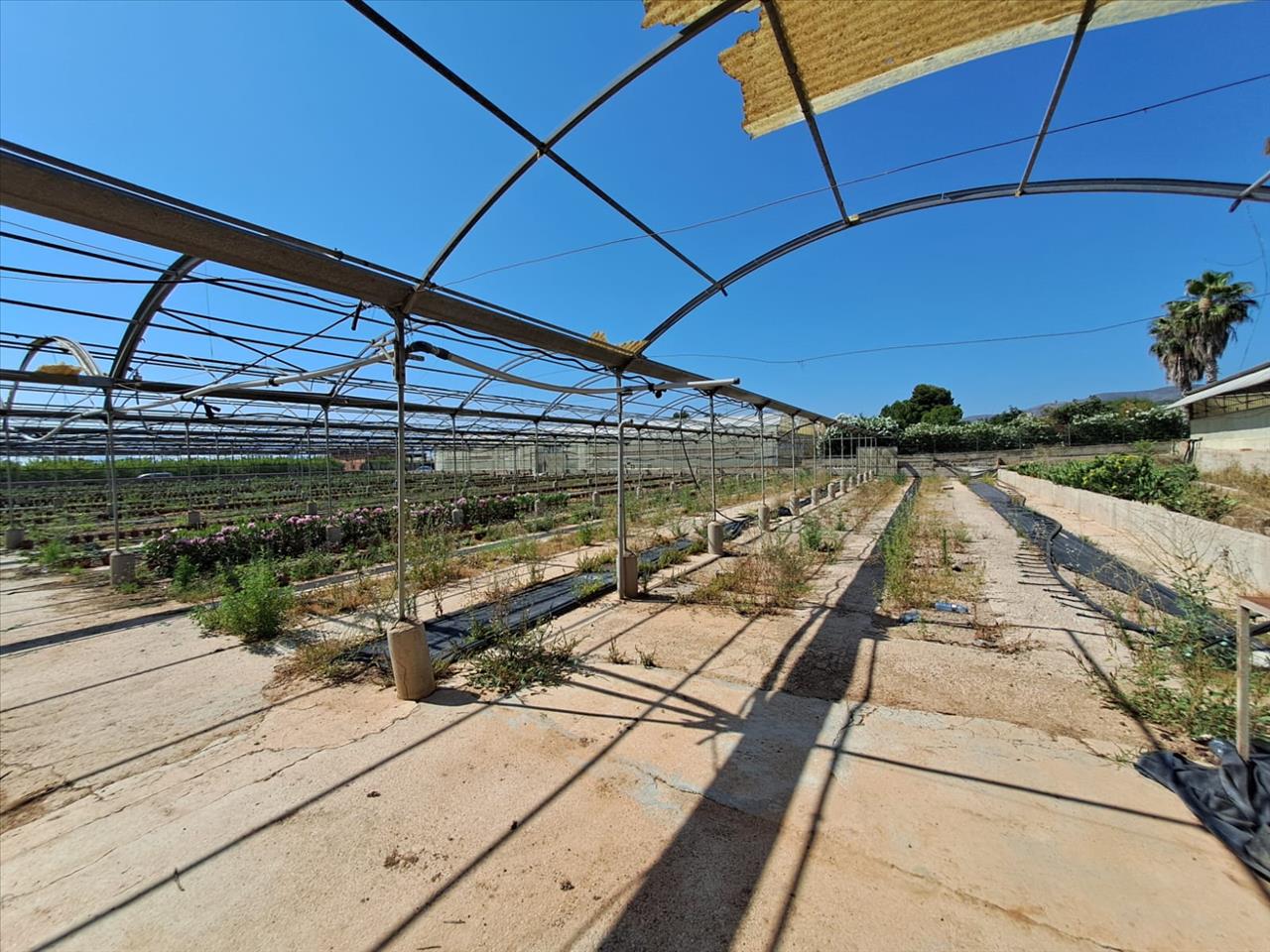 Aconchegante T3 em Catadau, València - Oportunidade Única! - Image 14