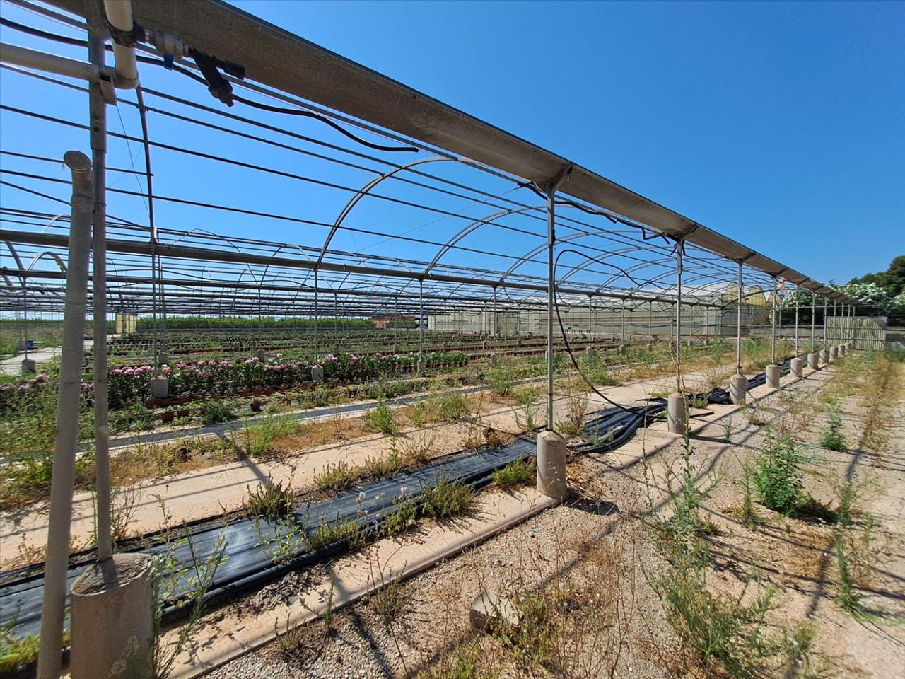 Aconchegante T3 em Catadau, València - Oportunidade Única! - Image 15