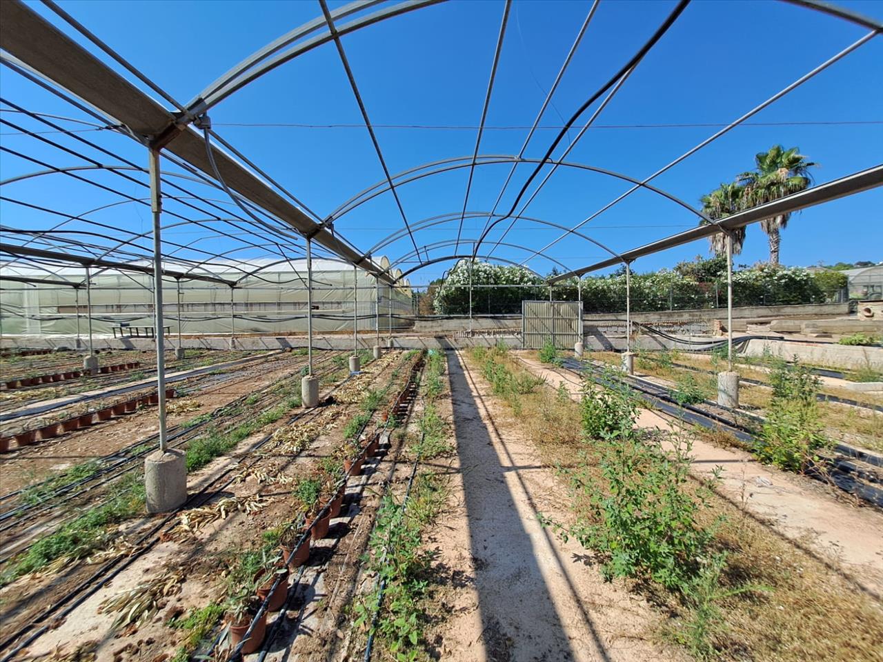 Aconchegante T3 em Catadau, València - Oportunidade Única! - Image 17