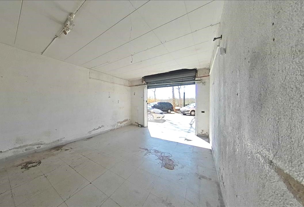 - Image 6