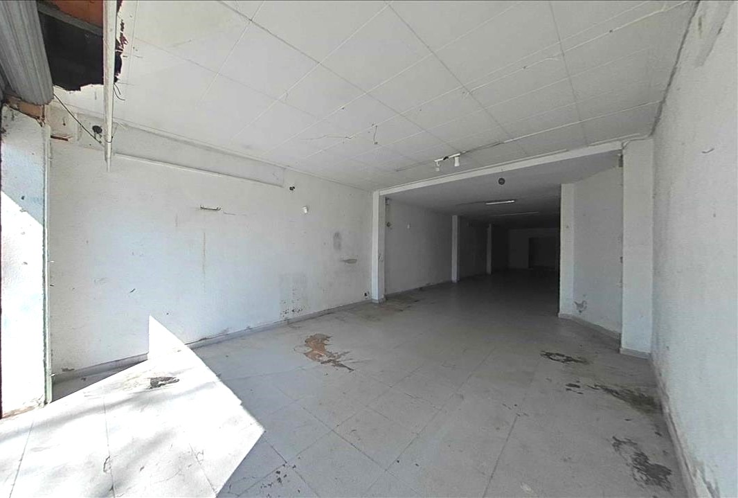 - Image 7