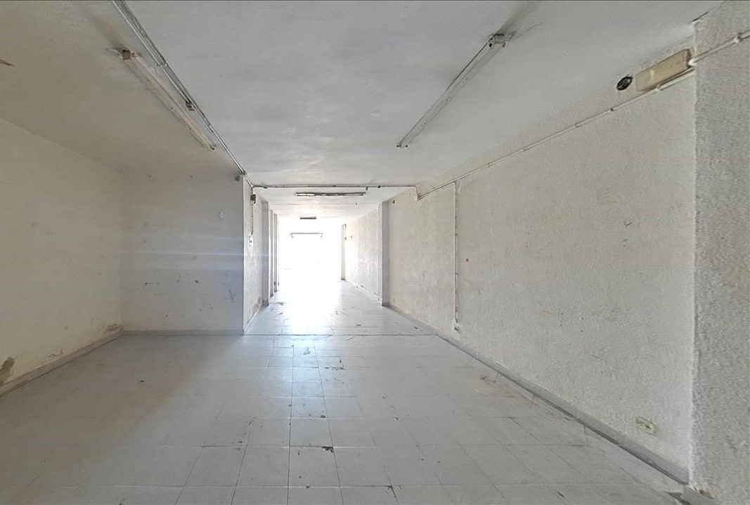 - Image 11