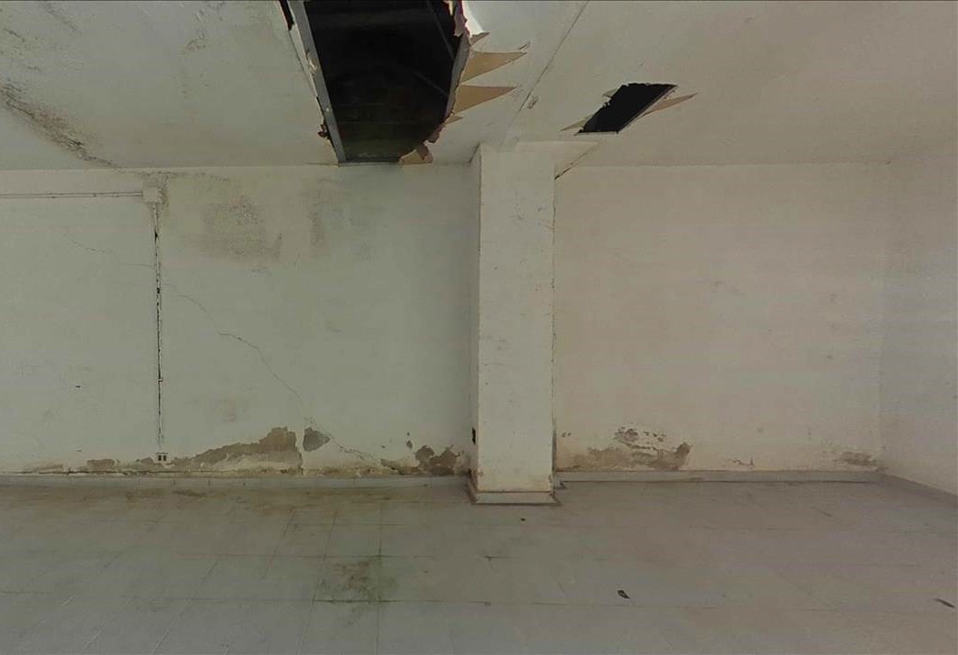 - Image 13