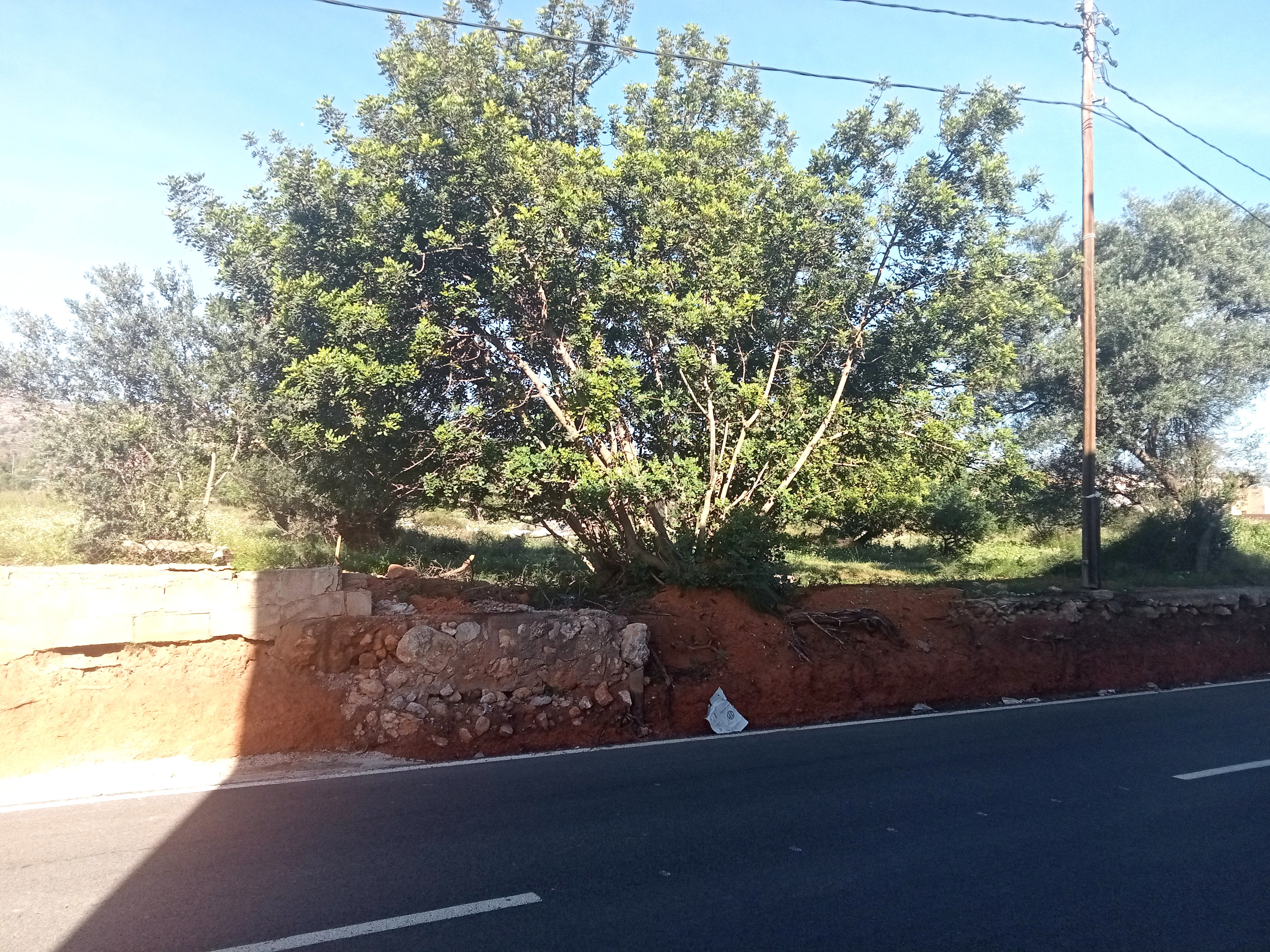 Suelo en Castellón de la Plana/Castelló de la Plana, Castellón/Castelló