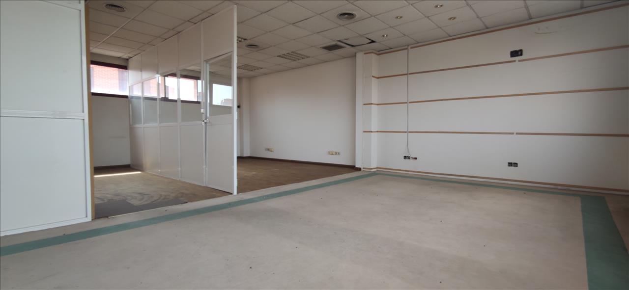 - Image 7