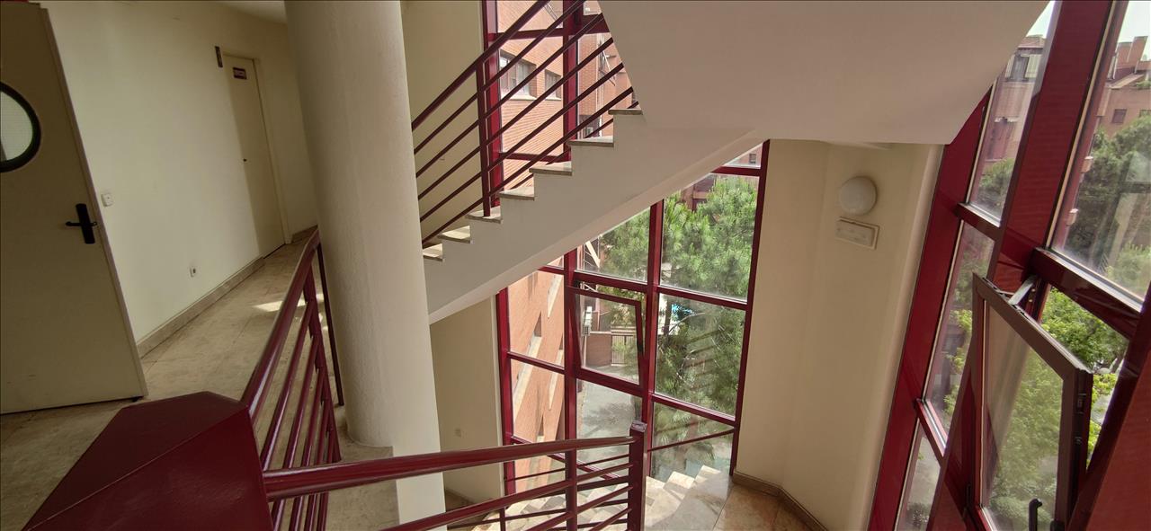  - Image 11