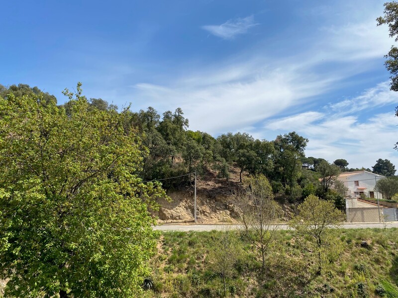 undefined - Image 5