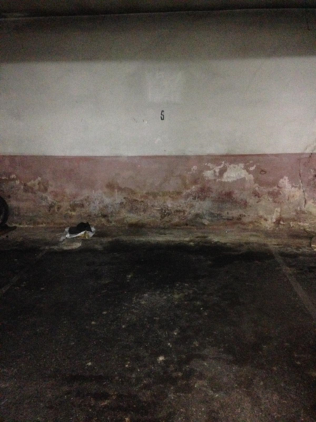 Image2