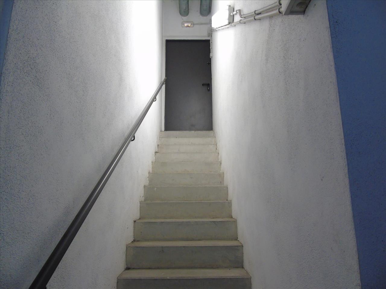  - Image 6