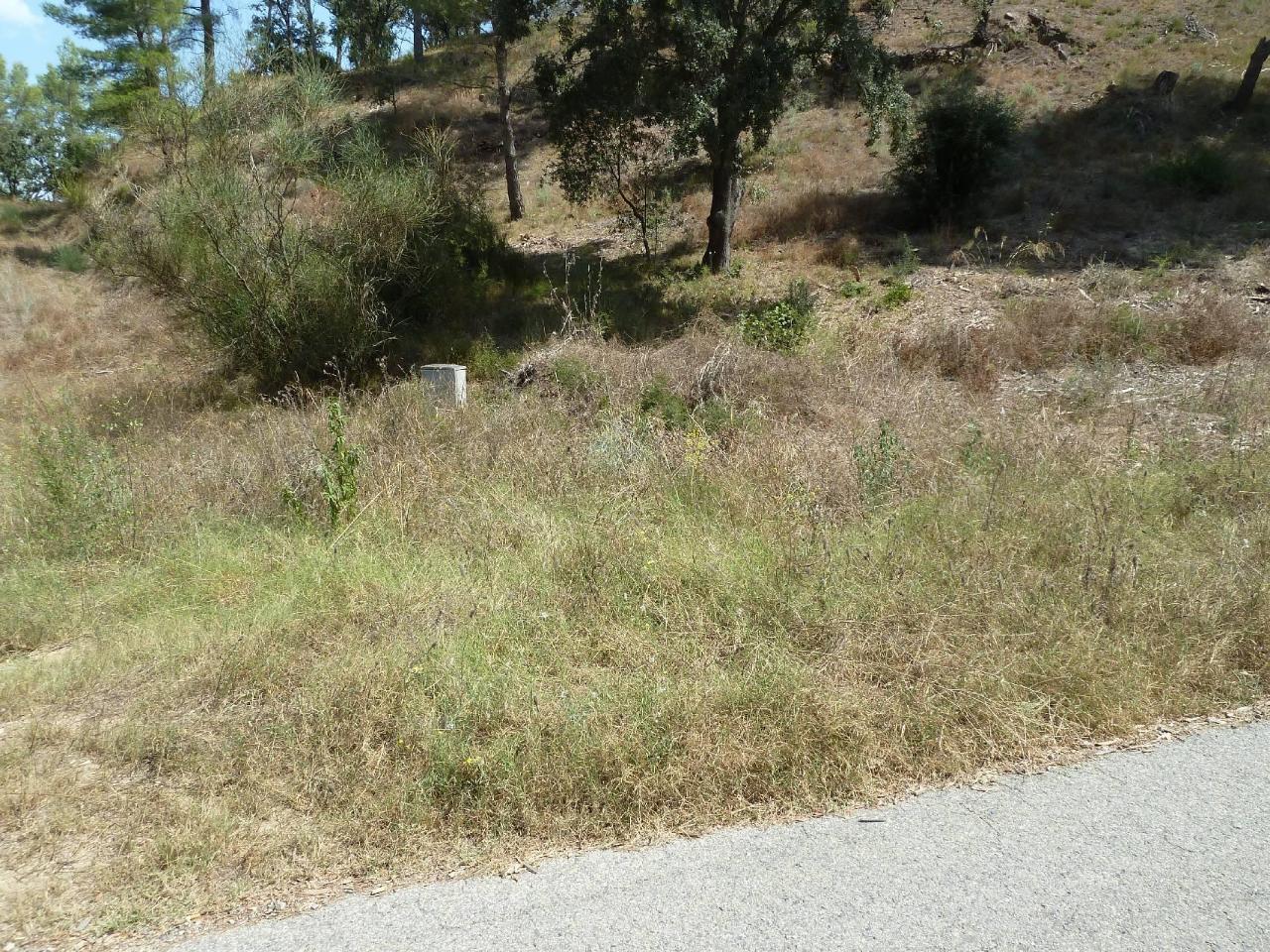 undefined - Image 31