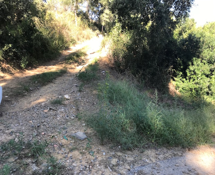 undefined - Image 12
