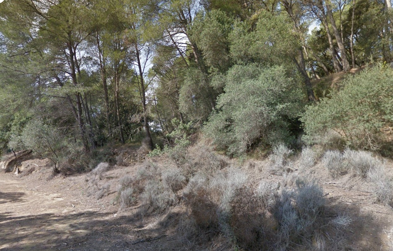 undefined - Image 23
