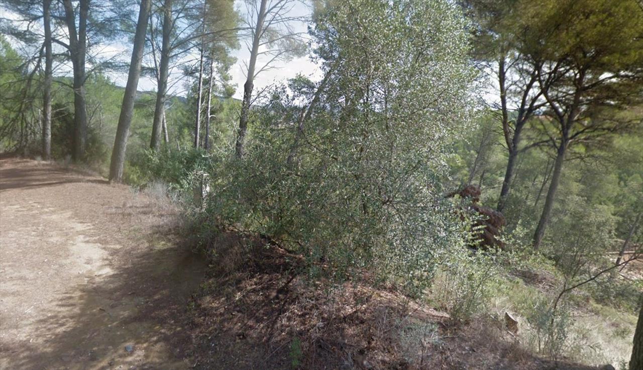 undefined - Image 21