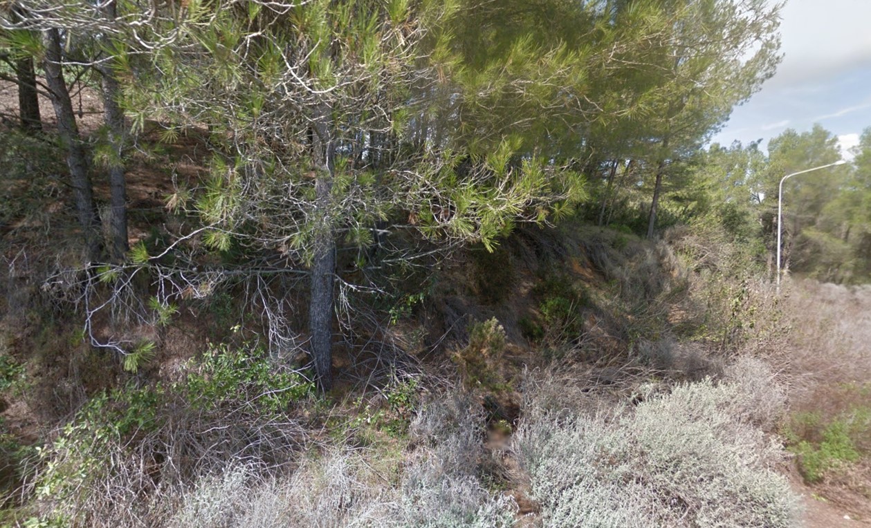 undefined - Image 24
