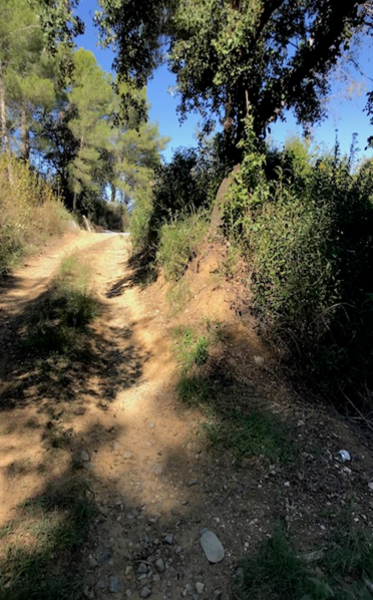 undefined - Image 7