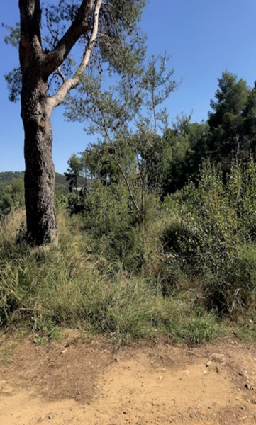 undefined - Image 11