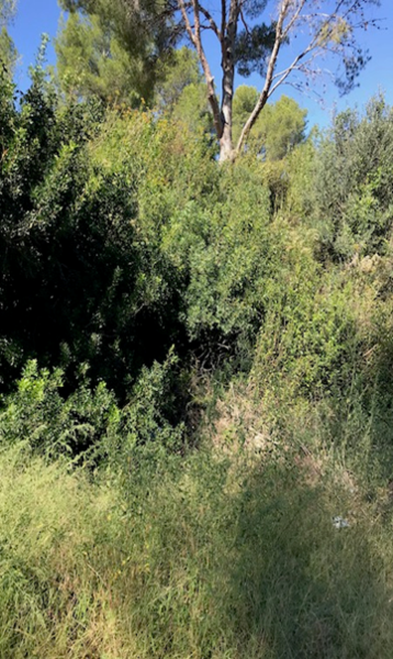 undefined - Image 5