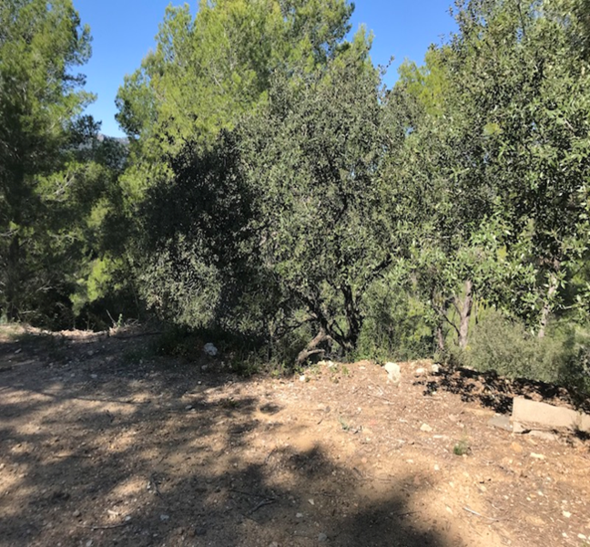 Image3