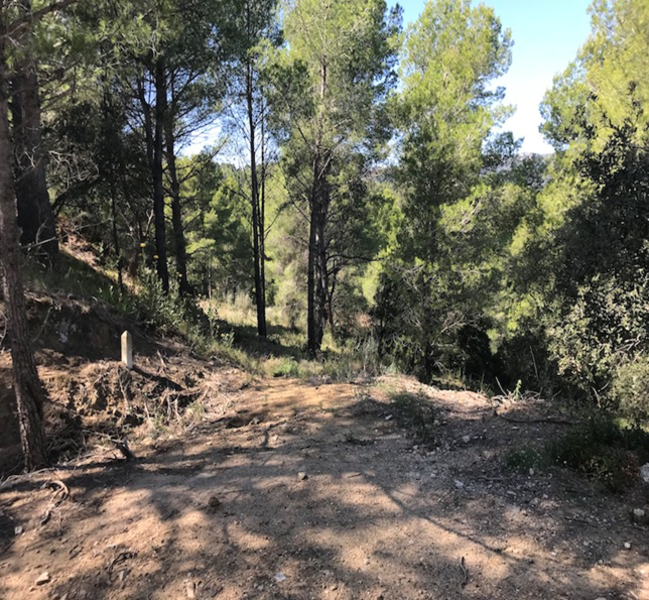 Image4