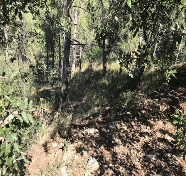 undefined - Image 6