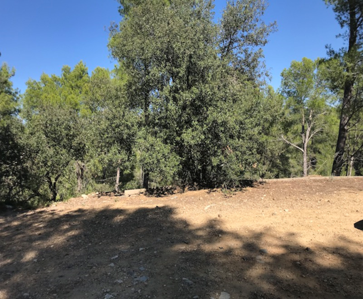 Image2