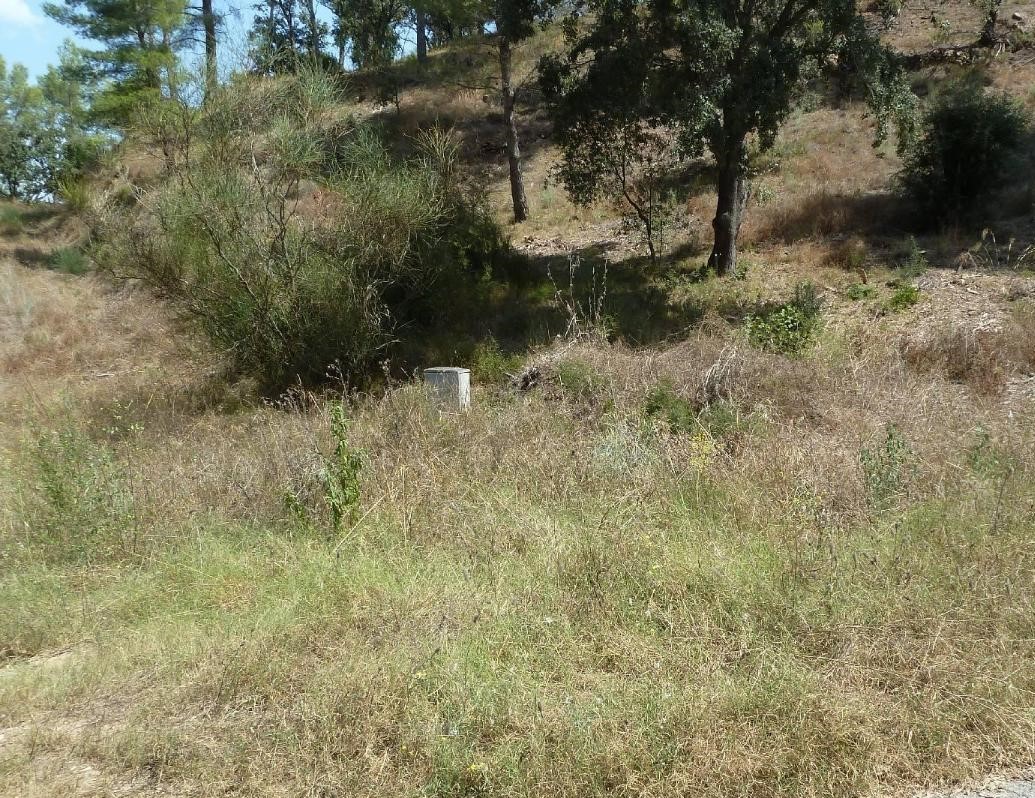  - Image 7